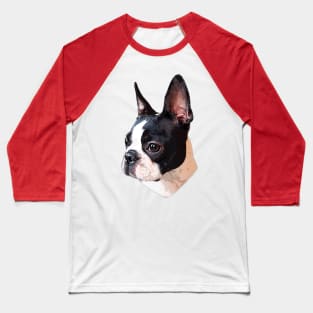 Boston Terrier Face Puppy Dog Baseball T-Shirt